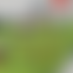 ARC+ EXCLUSIVA: Se constata la entrega de la revista oficial de turismo con múltiples errores en la feria internacional Central America Travel Market