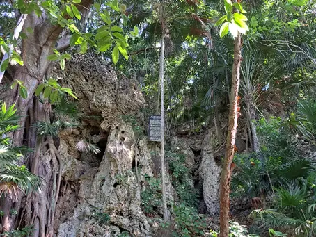 Fundraising Campaign Launched to Protect Brandon Hill Cave on Utila