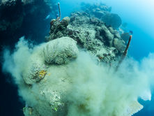 El Costo Oculto de la “Inversión Fácil”: Cómo el Arrecife de Camp Bay Está Siendo Sepultado por un Desarrollo Ilegal