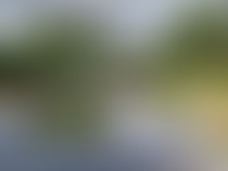 Las Vistas at Camp Bay Implements Ecological Measures to Protect the Area’s Environment