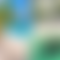 Erosión costera en West Bay, Roatán: ¿están robando playa los hoteleros?