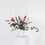Thumbnail: "The Dolly" – Large, Seasonal Arrangement