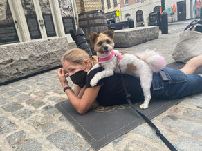 The Journey of My Career as a Pet Photographer