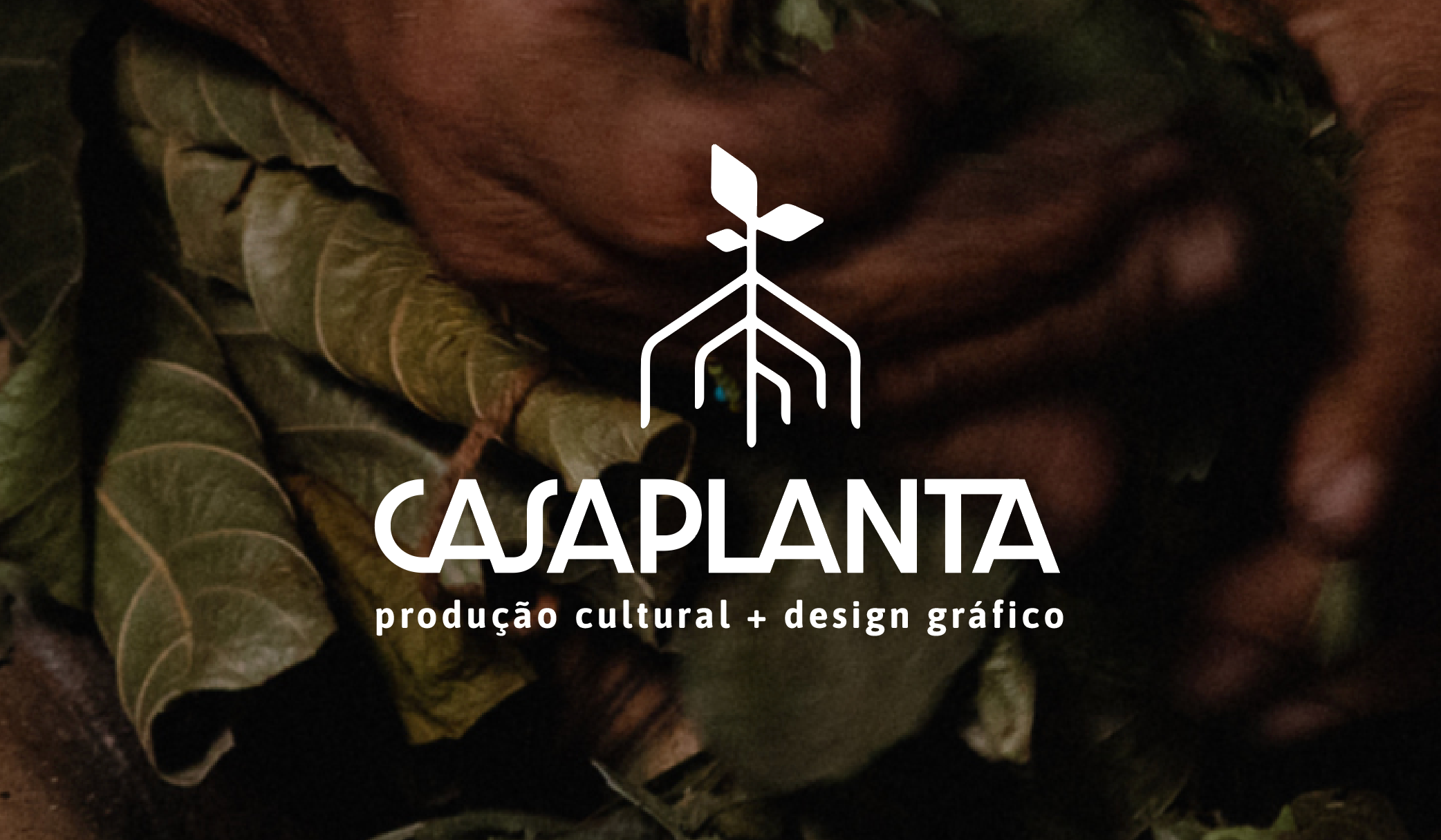 Casa Flor Plantas e Acessorios Ltda
