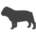 BULLDOG SILHOUETTE.png