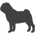 PUG SILHOUETTE.png