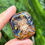 Thumbnail: Golden Owl Pietersite Orgone Energy Puck
