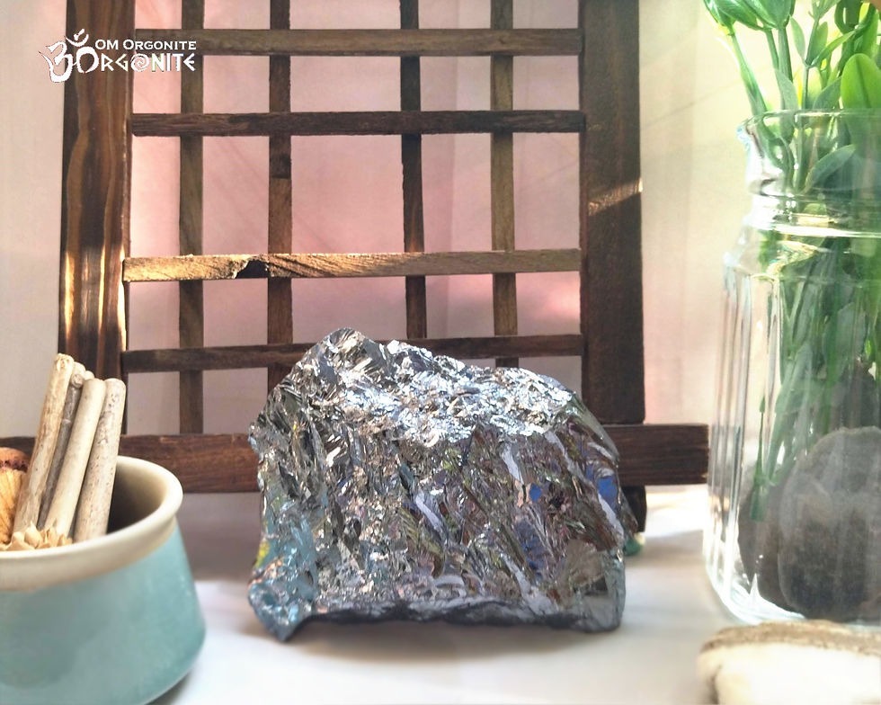 Terahertz on a wooden grid backdrop, surrounded by a jar of green plants and a bowl with sticks.