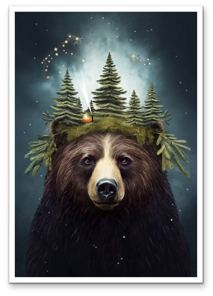 Thumbnail: Bearly here - Explore