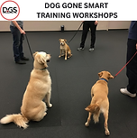walk in workshops.png
