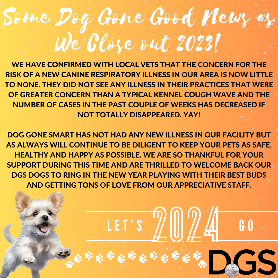 Dog Gone Smart Canine Center Dog Training Boarding Day Care Norwalk