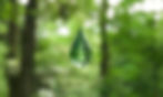 AQUULA Leadership Development & Independent Sustainability Advisory | Empowering Courageous, Progressive Leadership & Teams