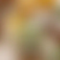 Unearthing Nature's Beauty Secrets: The Surprising Rediscovery of Natural Ingredients in Modern Skincare