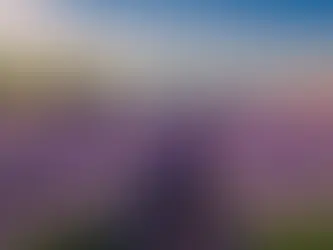 Unlocking the Potential: Reviving Mind, Body, and Soul with Lavender Oil