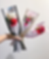 C1565D39-E9D5-4784-A554-7571148B032A_1_105_c_edited_edited_edited.png