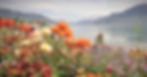 AdobeStock_93852617_resized_edited.jpg