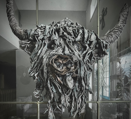 The Highland Cow