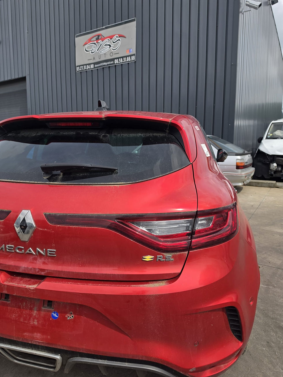 Miniatura: RENAULT MEGANE RS TROPHY