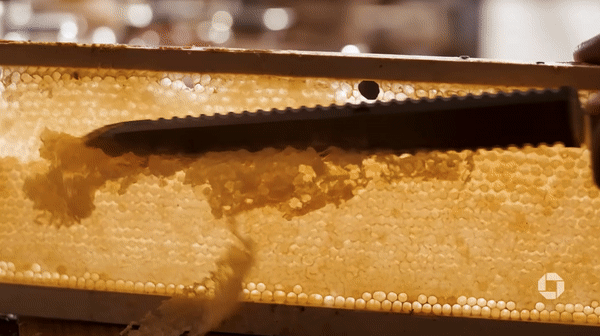 z&z.gif