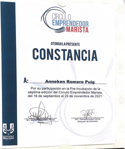 Captura de Pantalla 2025-08-06 a la(s) 10.58.17