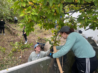 Volunteer. Donor. Neighbor.