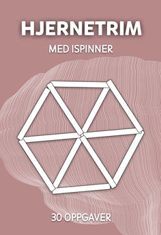 Hjernetrim Med Ispinner Grubleoppgaver