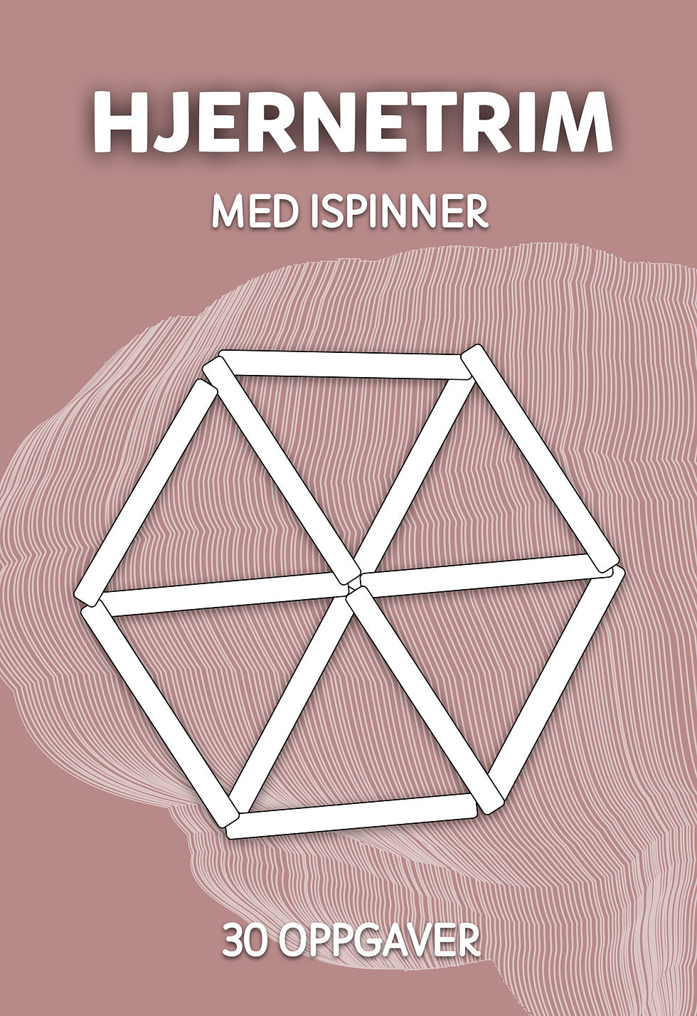 Hjernetrim Med Ispinner Grubleoppgaver