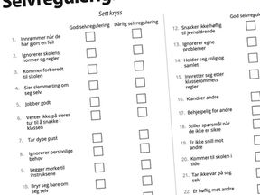 Selvreguleringsferdigheter