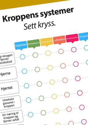 Kroppens systemer