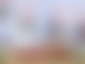 Plassere verdien - Hundrere