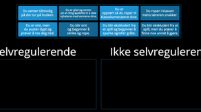 Selvregulering - Ulike caser