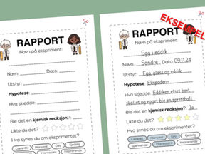 Naturfagsrapport mal