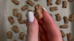 Sourdough Bunny Grahams