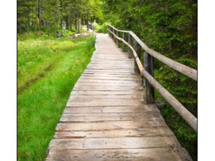 Informationsblatt 25. November 2018