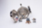 Thumbnail: Moon landing locket silver with patina