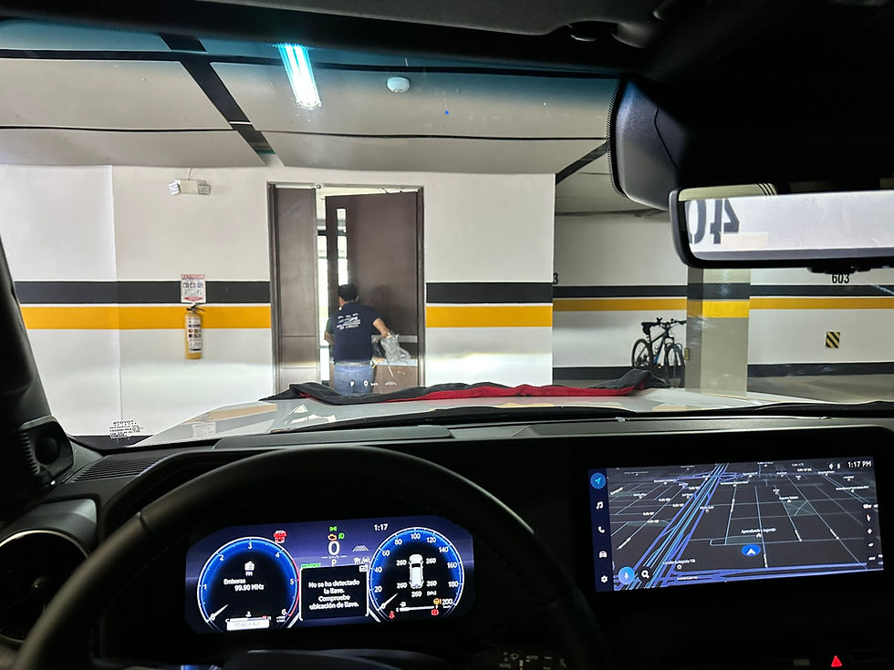 POLARIZADO PANORAMICO