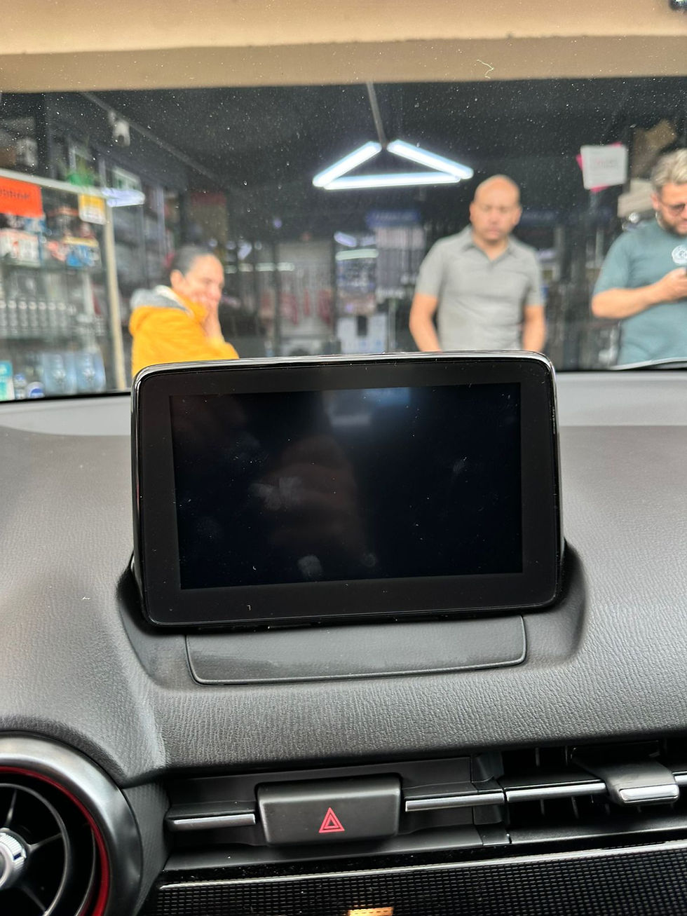 PPf para interior del carro