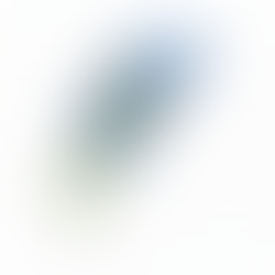 Intussusception of lymphatic(s) into into a venule