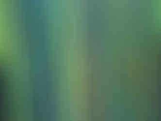 Painting depicting a close up vision of dense, green bamboo stalks