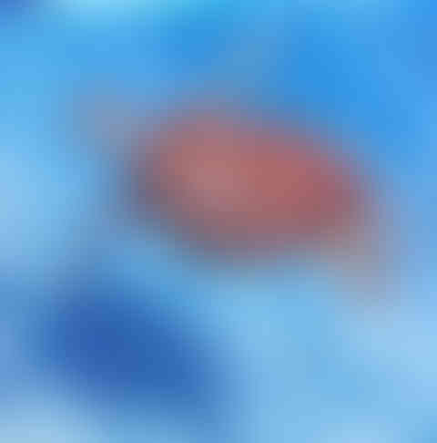 Painting depicting a a sea turtle swimming through clear water