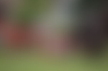 【県総体】ラグビー部は決勝進出の壁高く大分舞鶴に大差で敗れるも第３位の健闘！