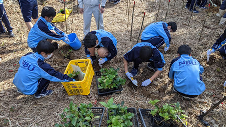 【NEWS】佐伯市と協力して花のあるまちづくりを目指し、アジサイ植栽！