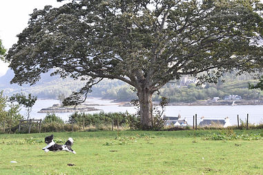 Duncan on Brae in flight Sept19.jpeg
