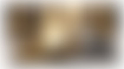 Is Silver the New Gold?