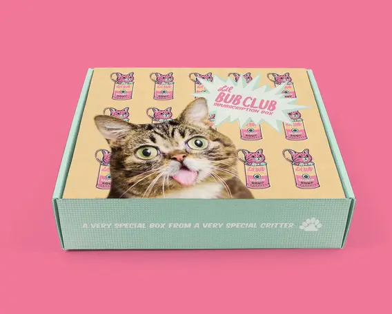 00_box_mockup.webp