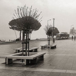 LAC - Lugano Arte e Cultura