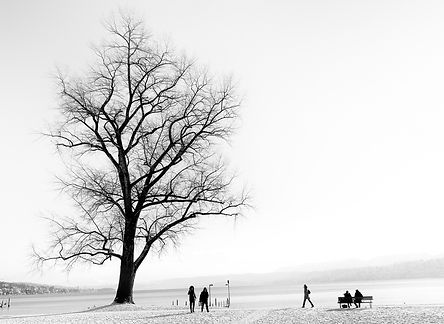 Zuerich under snow