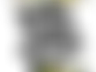 International meet up 2024 