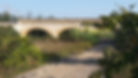 IMG-20221018-WA0022.jpeg