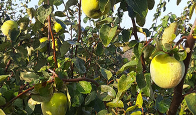 IMG-20221018-WA0004.jpeg